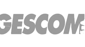 Luibao is the consulting and purchase partner for Gescom Italy for different industrial printer parts and products