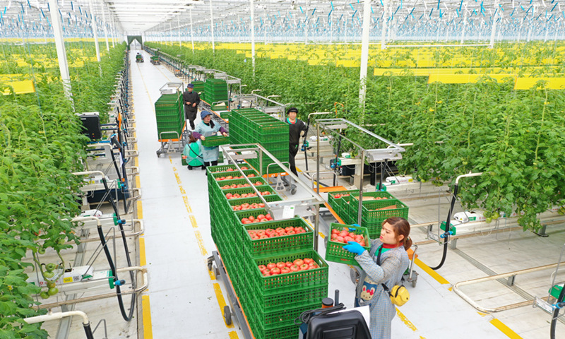 high technology applied to china agriculture industry and more to the value chain in the future indicated by two sessions 2021